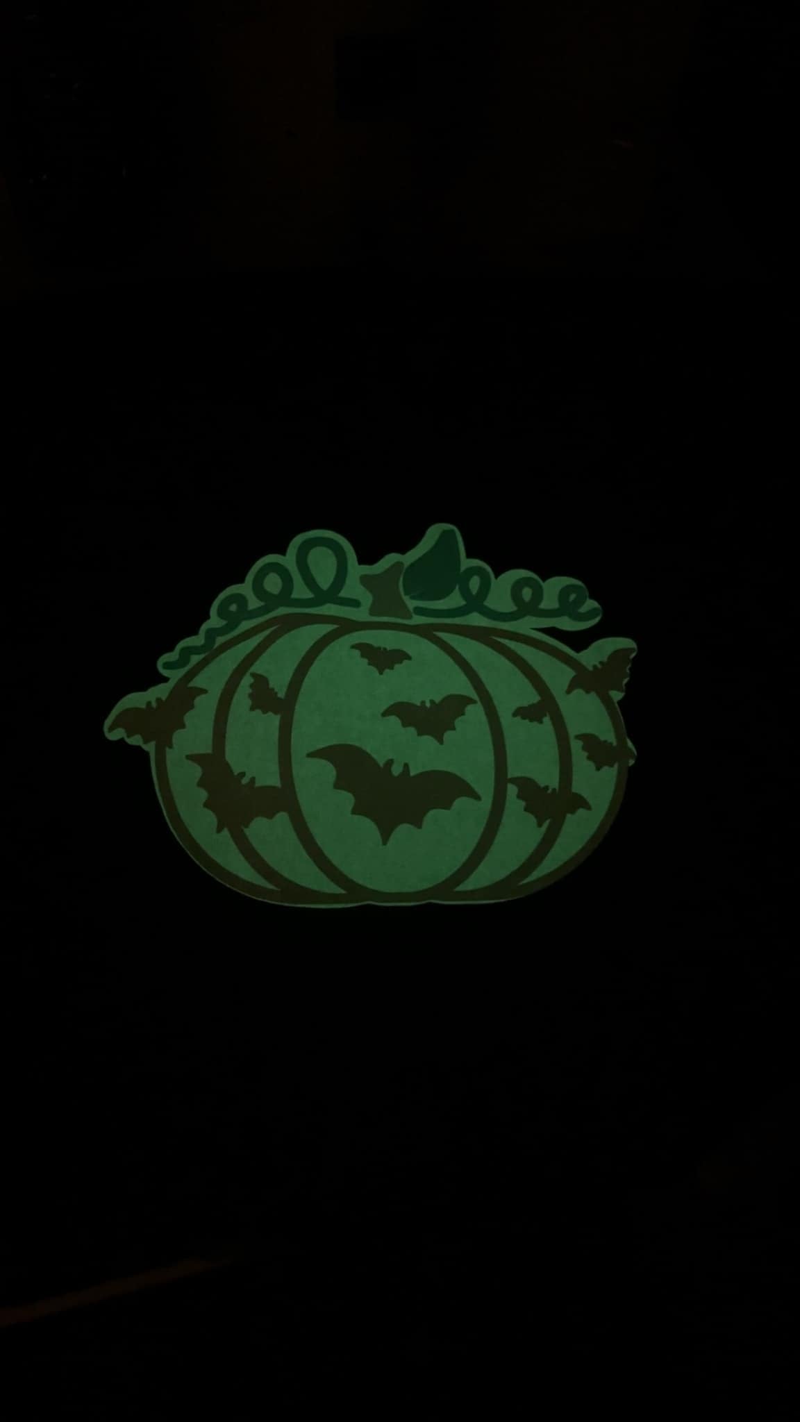 Pumpkin Glow-in-the-Dark T-shirt